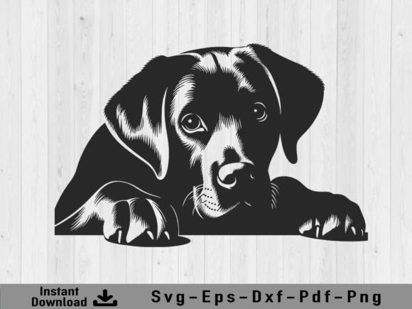 Download Peeking Labrador Retriever Dog Svg File - Labrador retriever dog Collection